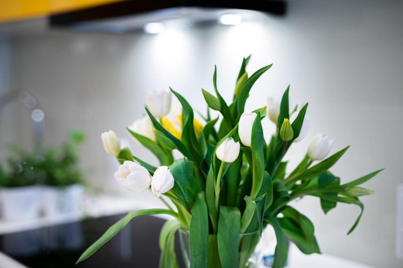 Apartamenty Tespis - Francuska Atal Park II Katowice Ngoại thất bức ảnh